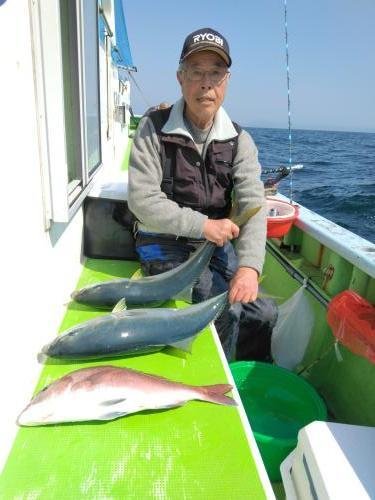 マダイ・ワラサ(ブリ)