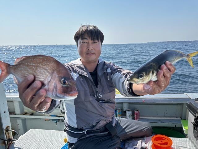 マダイ・イナダ(ブリ)