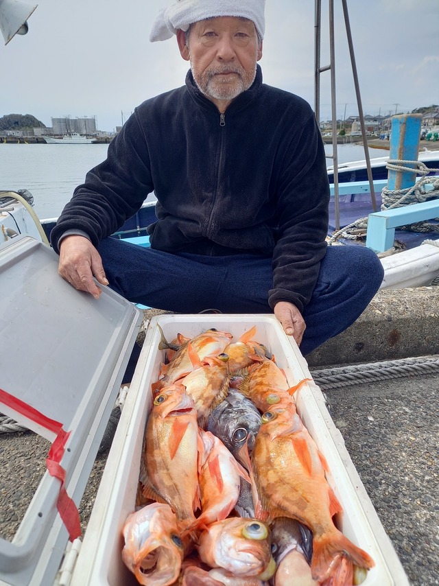 オキメバル(ウスメバル)