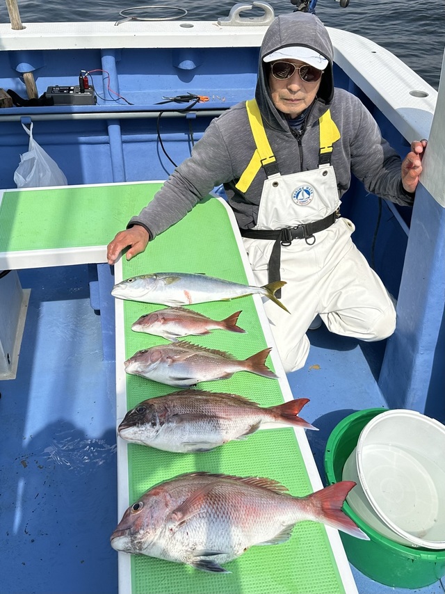 マダイ・イナダ(ブリ)