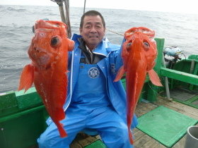 ベニアコウ(オオサガ)