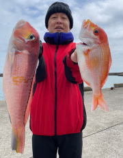 キダイ・アマダイ(アカアマダイ)