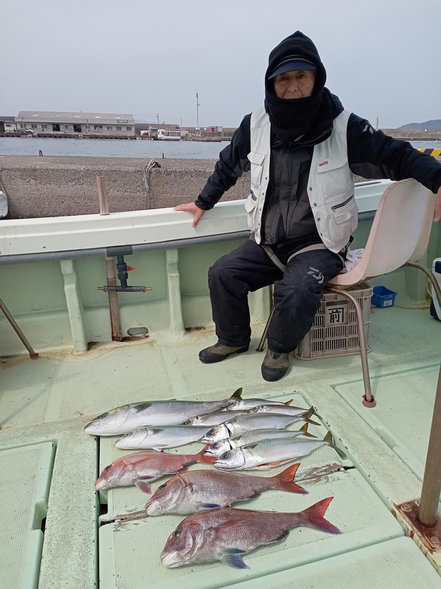 マダイ・メジロ(ブリ)・サバ(マサバ)