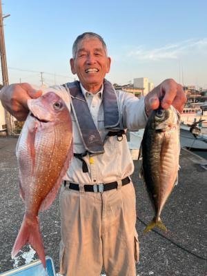 マダイ・アジ(マアジ)