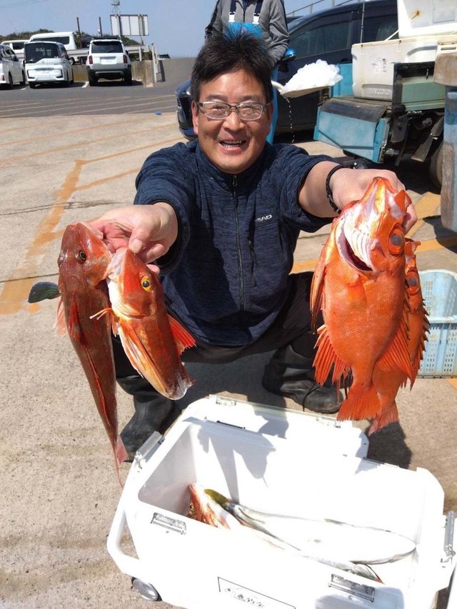 キントキ(チカメキントキ)・ホウボウ