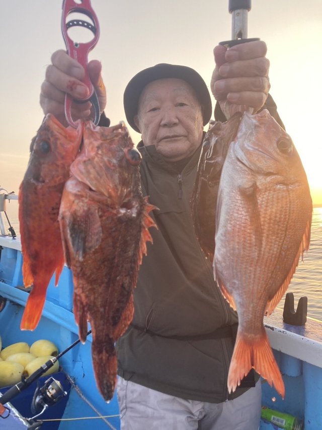 マダイ・カサゴ