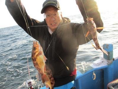 メバル(ウスメバル)