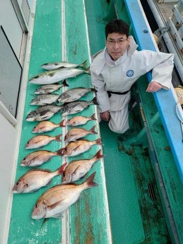 マダイ・クロダイ・ワラサ(ブリ)