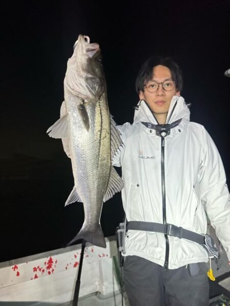 シーバス(スズキ)