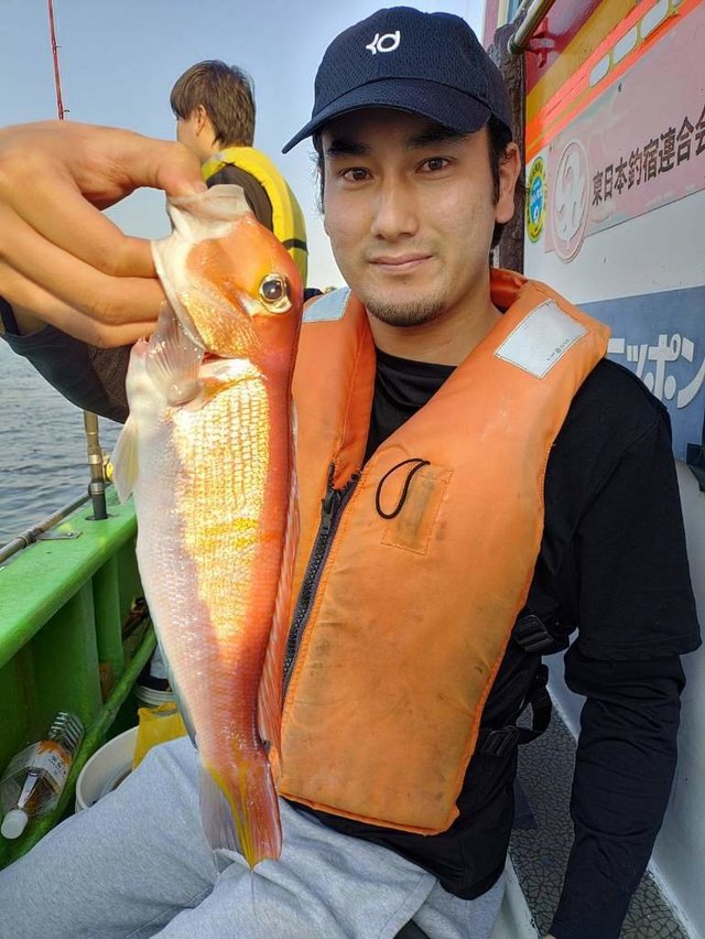 アマダイ(アカアマダイ)