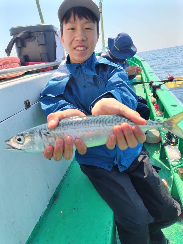 サバ(ゴマサバ)