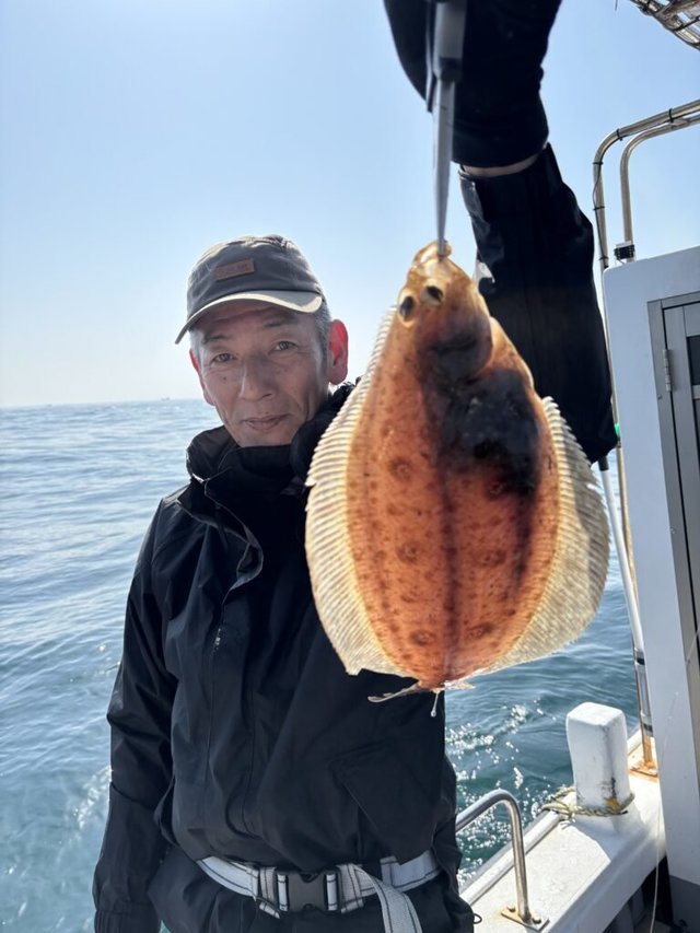 ガンゾウヒラメ(ガンゾウビラメ)