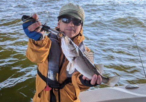 シーバス(スズキ)