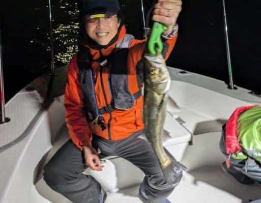 シーバス(スズキ)