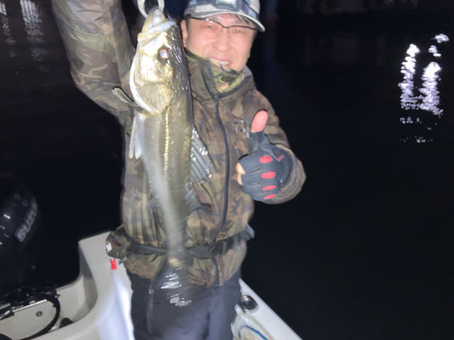 シーバス(スズキ)