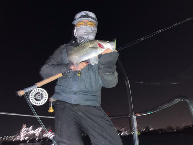 シーバス(スズキ)