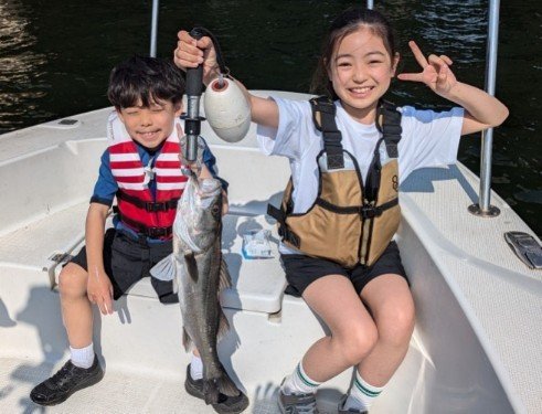 シーバス(スズキ)