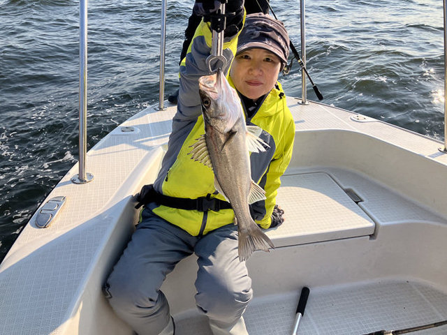 シーバス(スズキ)