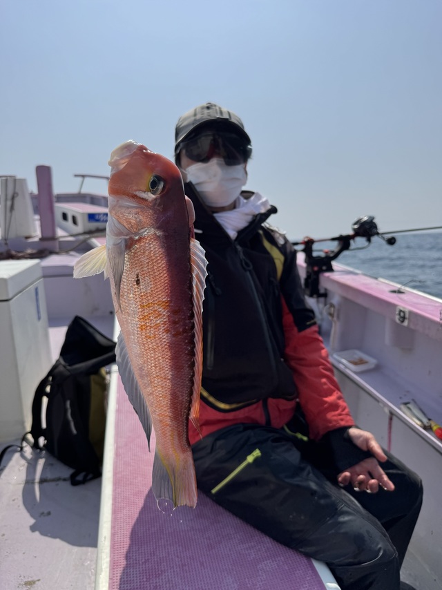 アマダイ(アカアマダイ)