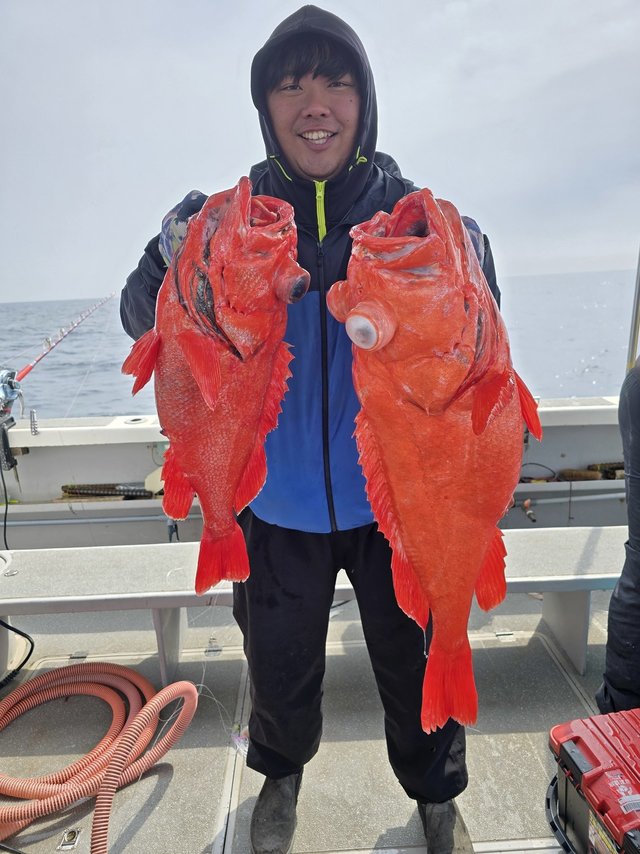 ベニアコウ(オオサガ)