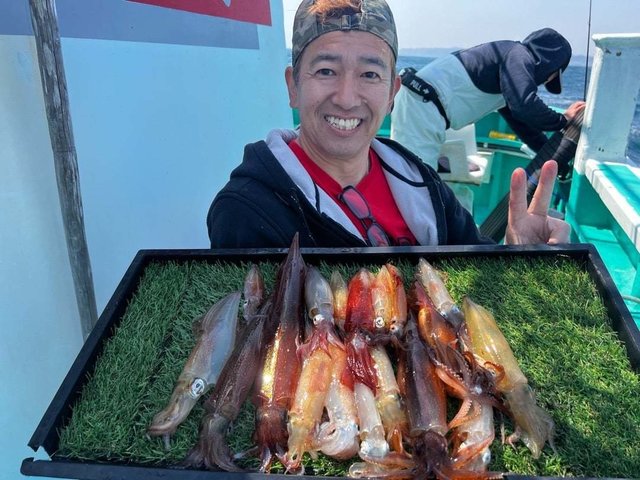 マルイカ(ケンサキイカ)