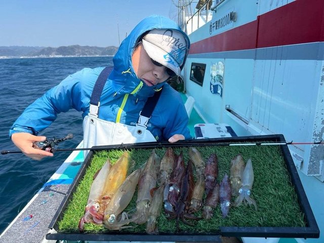 マルイカ(ケンサキイカ)