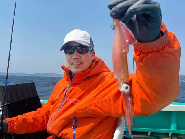 マルイカ(ケンサキイカ)