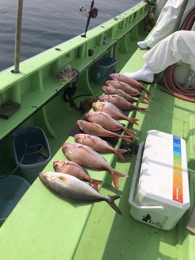 マダイ・イナダ(ブリ)