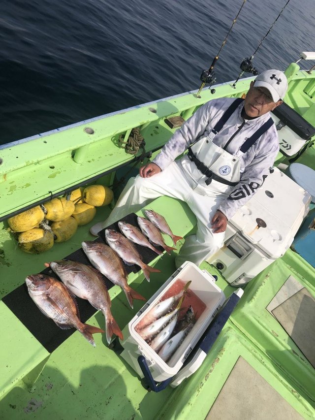 マダイ・イナダ(ブリ)