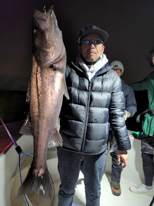 シーバス(スズキ)