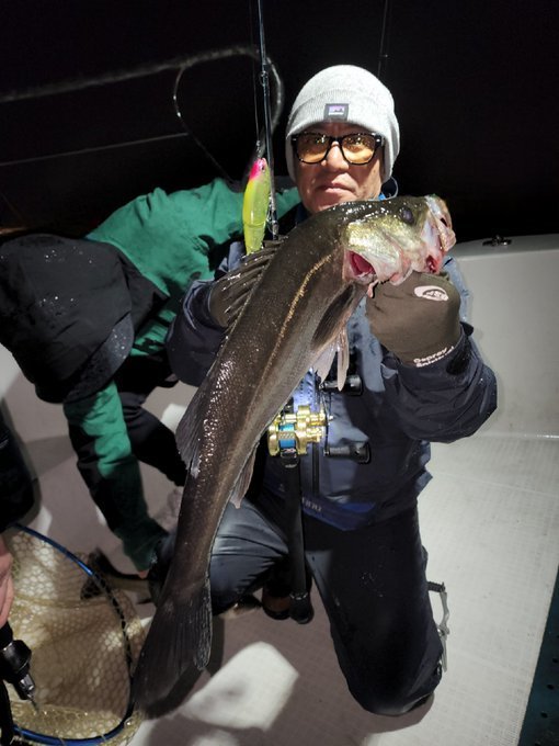 シーバス(スズキ)