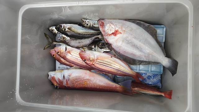 アジ(マアジ)・アマダイ(アカアマダイ)・イトヨリ(イトヨリダイ)・ムシガレイ