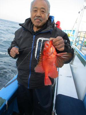 キントキ(チカメキントキ)