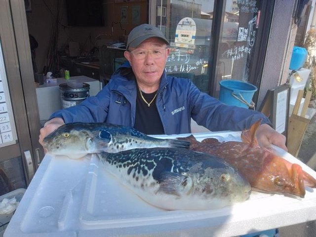 キジハタ・トラフグ