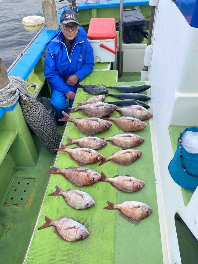 マダイ・クロダイ・イナダ(ブリ)