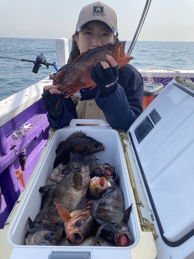 カサゴ・メバル・ハタ(マハタ)