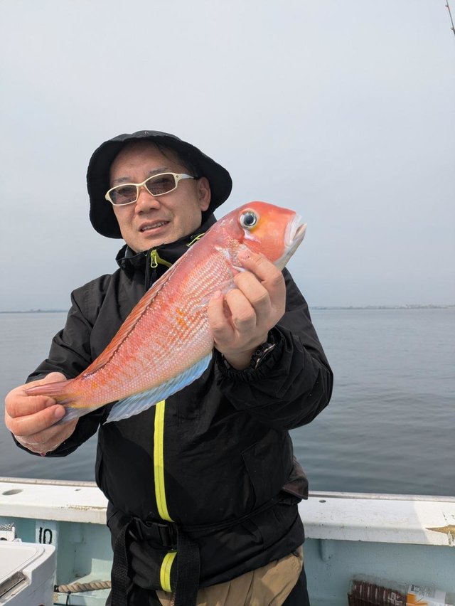 アマダイ(アカアマダイ)