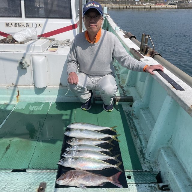 マダイ・マアジ・ハマチ(ブリ)
