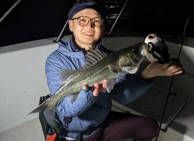 シーバス(スズキ)