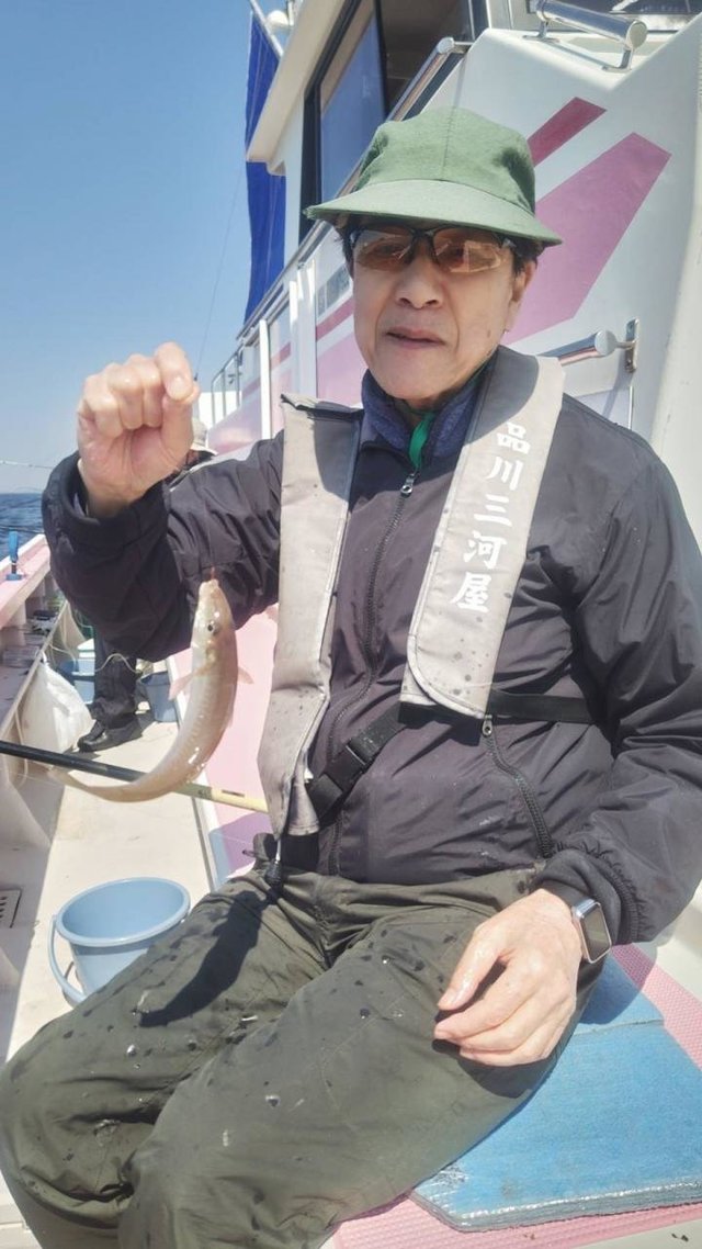 キス(シロギス)