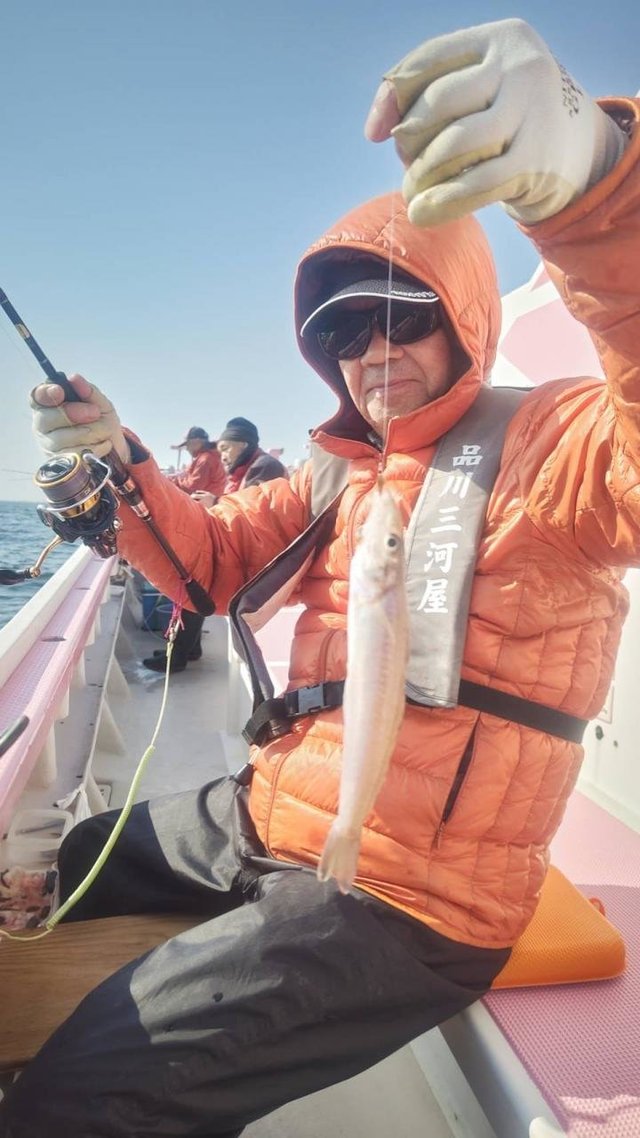 キス(シロギス)