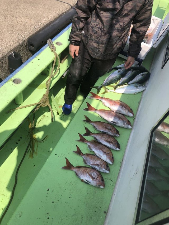 マダイ・イナダ(ブリ)