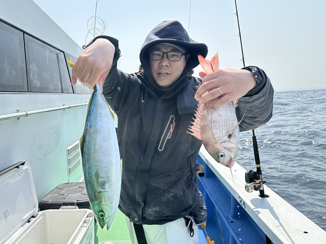 マダイ・イナダ(ブリ)