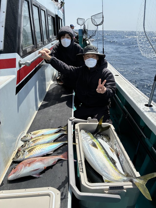 マダイ・マアジ・ブリ