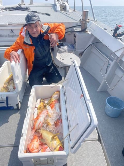 レンコ(キダイ)・アオナ(アオハタ)・チカメキントキ