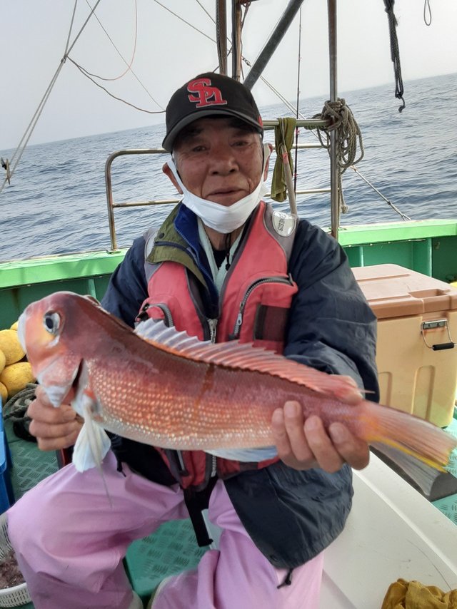 アマダイ(アカアマダイ)