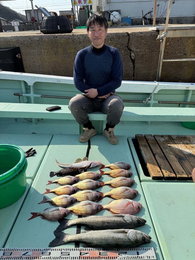 マダイ・マタカ(スズキ)