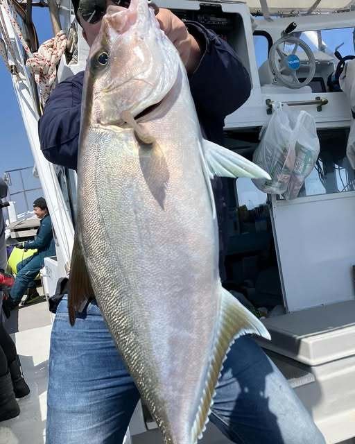 ヒレナガカンパチ