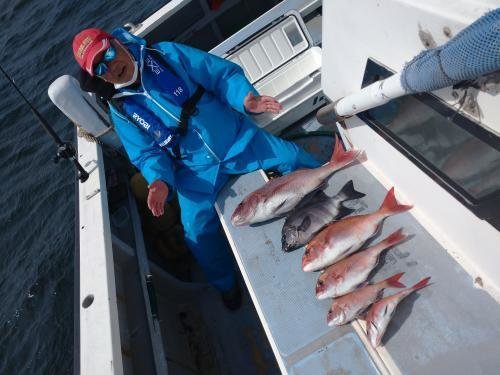 マダイ・イシダイ