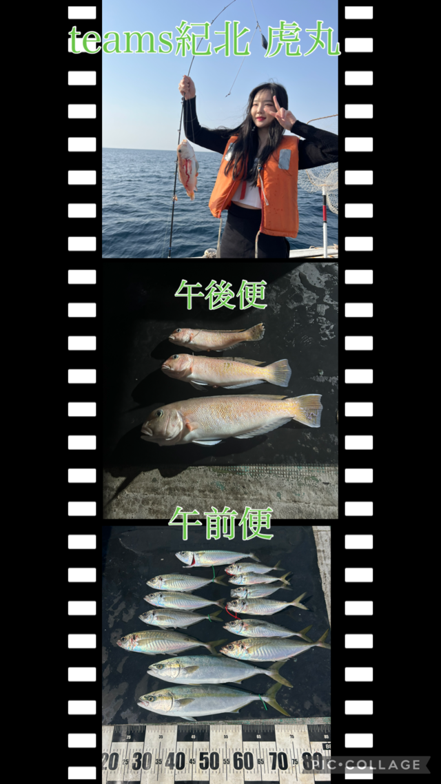 アジ(マアジ)・ハマチ(ブリ)・シロアマダイ・サバ(マサバ)